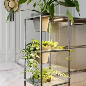 Plant Storage 2x5